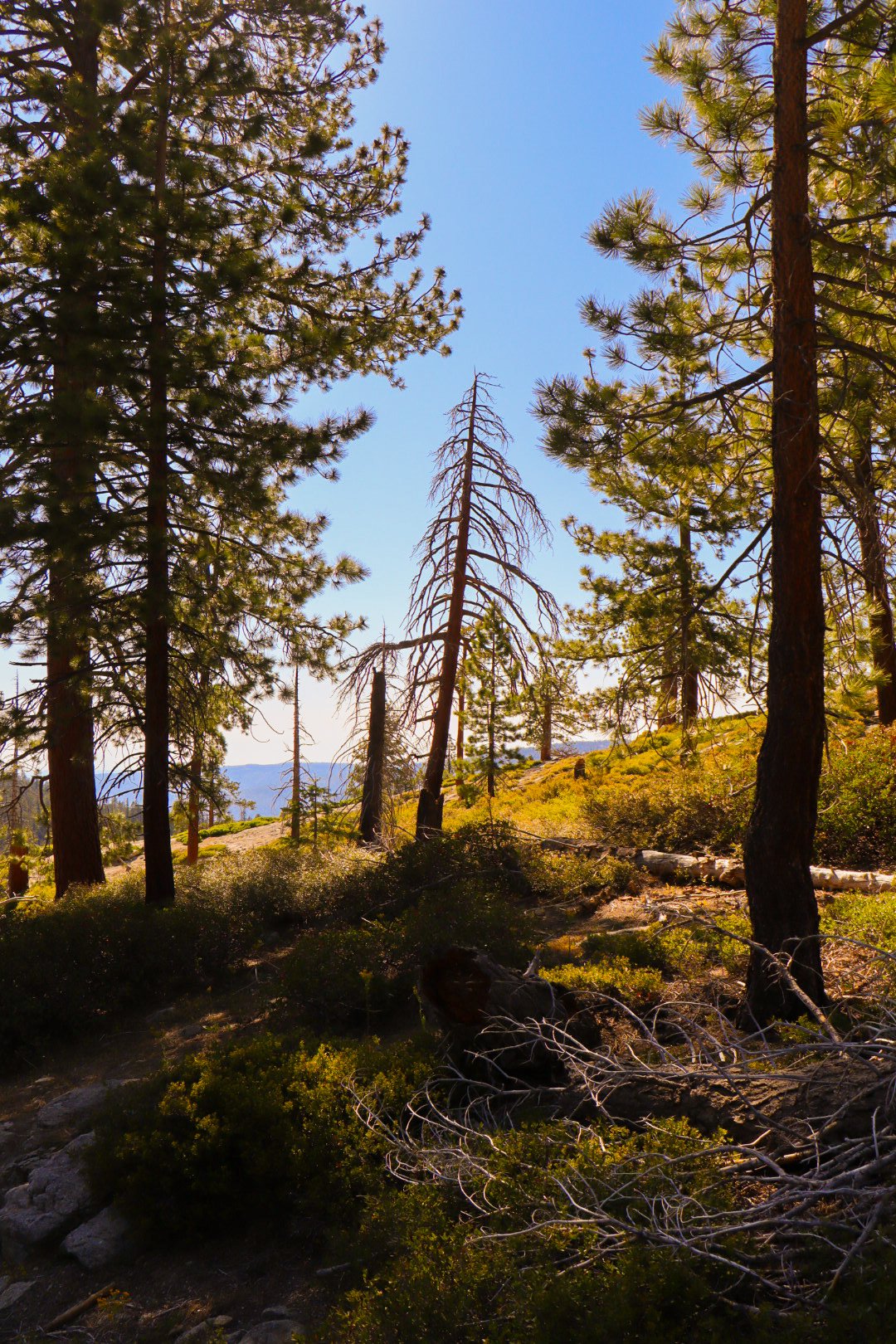 Photo by Harris Campbell